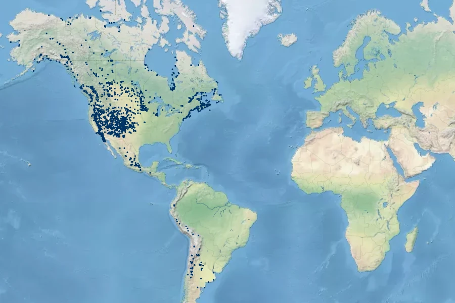 Ranunculus cymbalaria Native Range