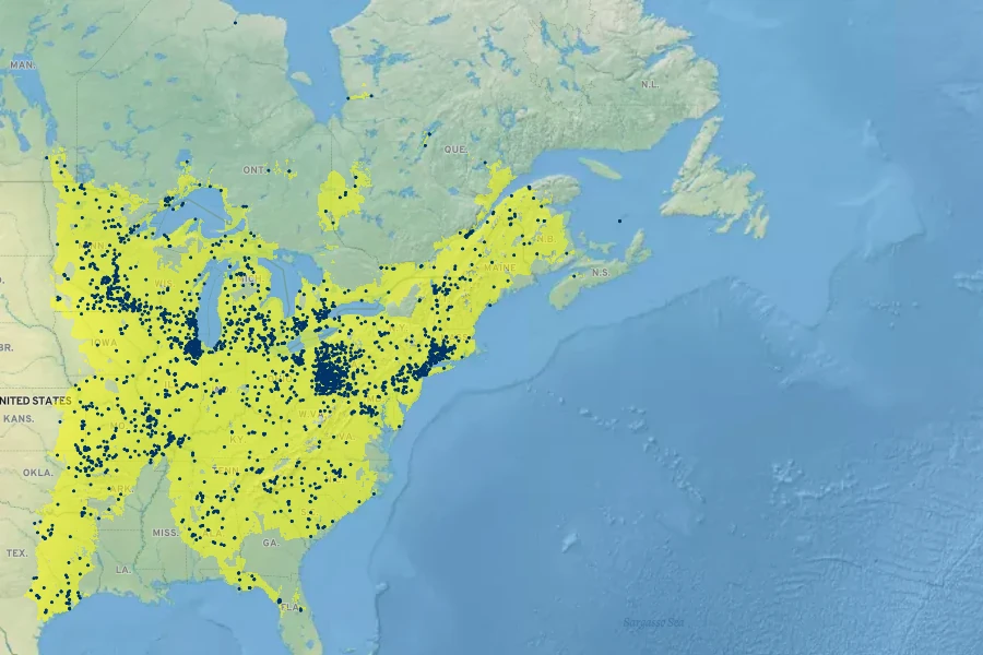 Ranunculus hispidus Native Range