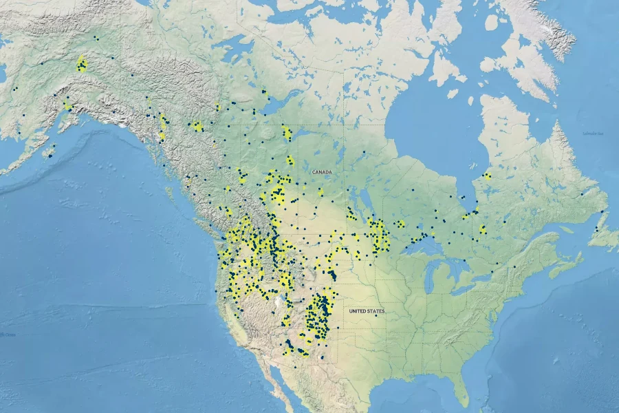 Ranunculus macounii Native Range