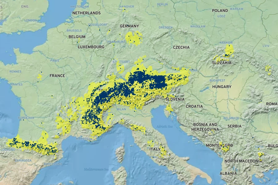 Ranunculus montanus Native Range