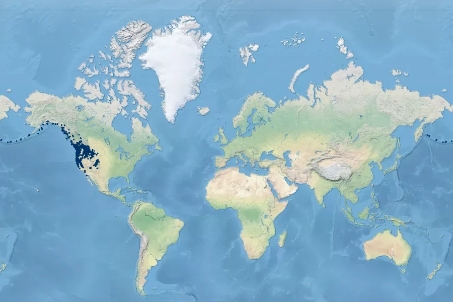Ranunculus uncinatus Native Range