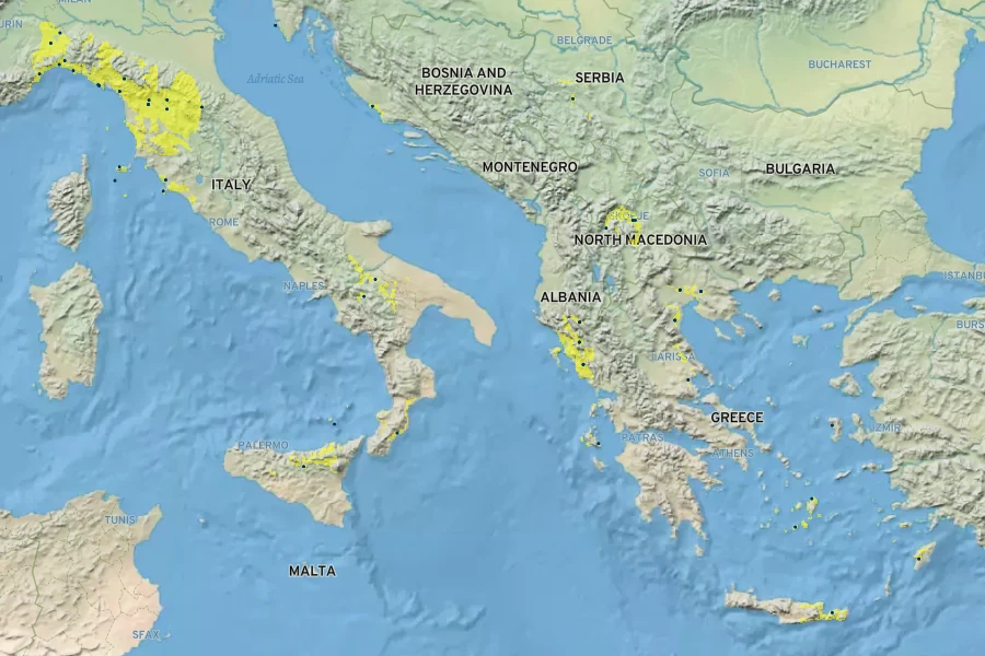 Raphanus sativus Native Range
