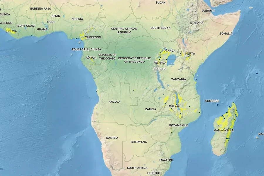 Raphia farinifera Native Range