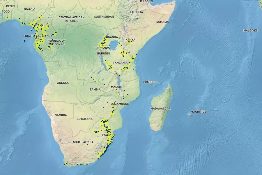 Rauvolfia caffra Native Range