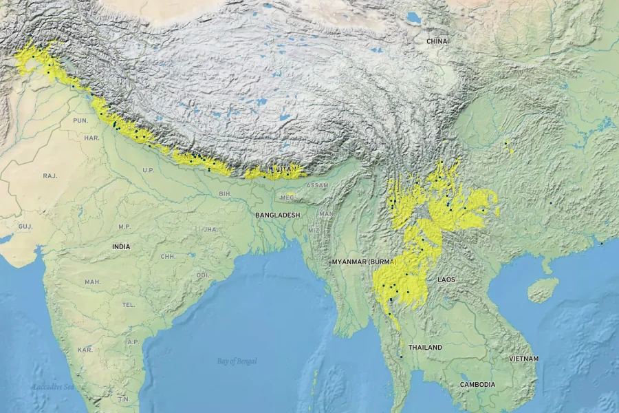 Reinwardtia indica Native Range