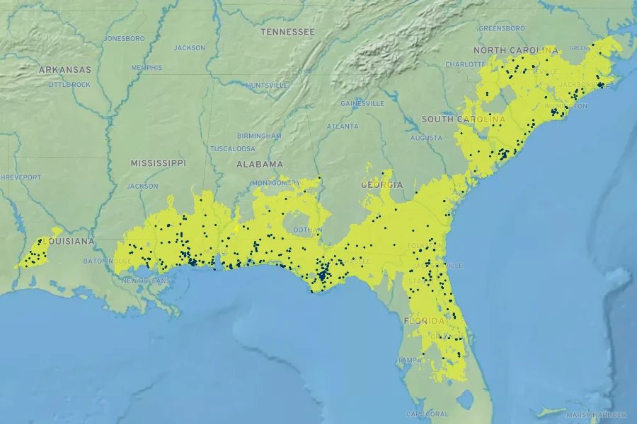 Rhexia alifanus Native Range