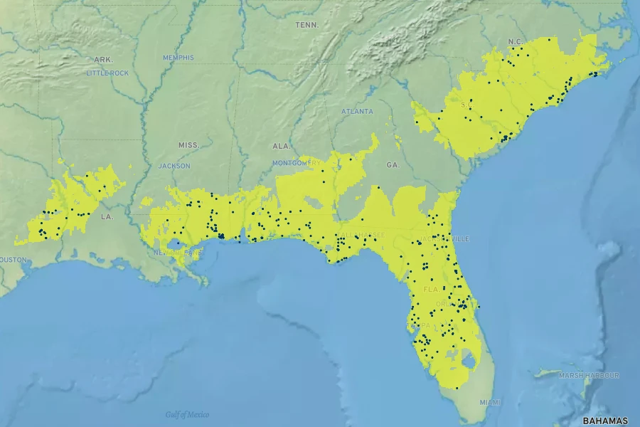 Rhexia petiolata Native Range