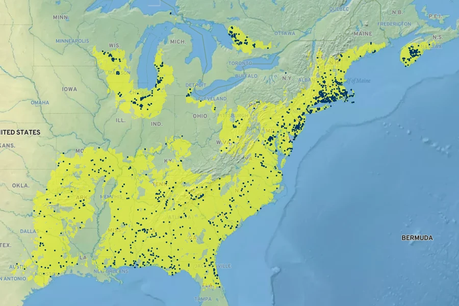 Rhexia virginica Native Range