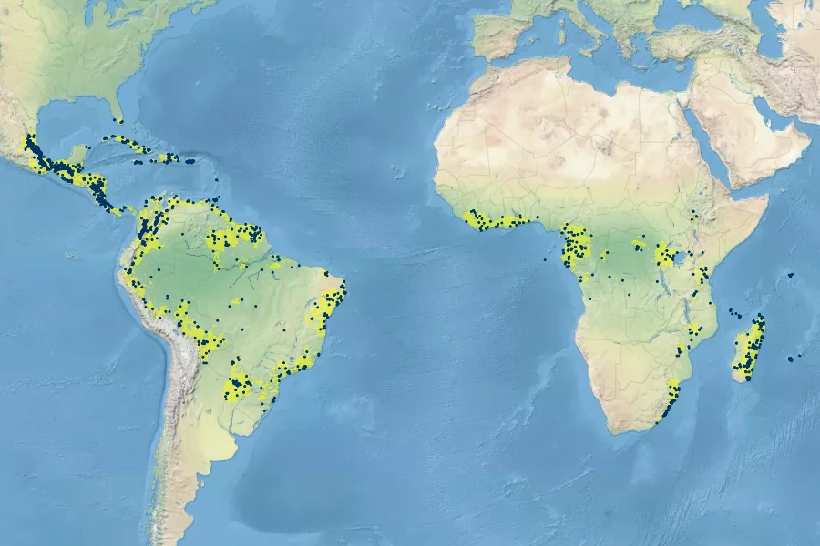 Rhipsalis baccifera Native Range
