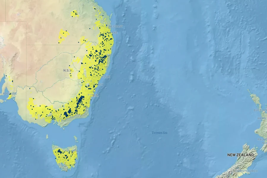 Rhodanthe anthemoides Native Range