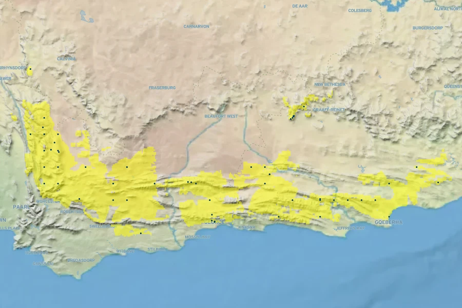 Rhodocoma capensis Native Range