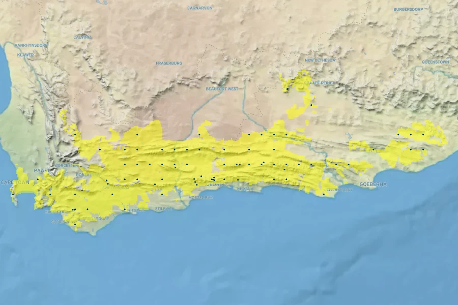 Rhodocoma fruticosa Native Range