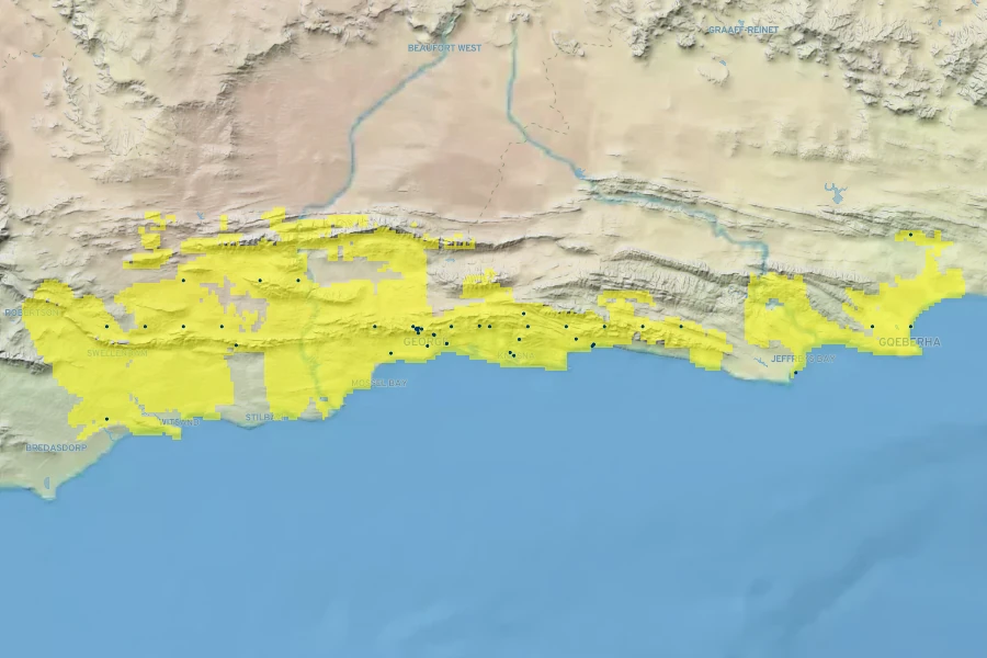 Rhodocoma gigantea Native Range