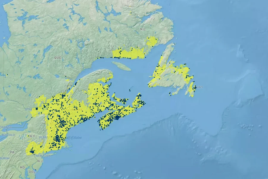 Rhododendron canadense Native Range