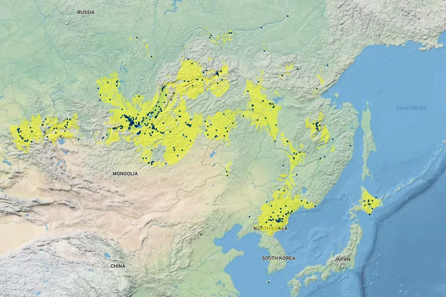 Rhododendron dauricum Native Range