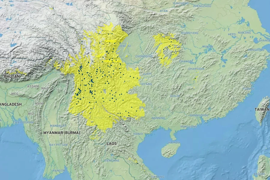 Rhododendron decorum Native Range