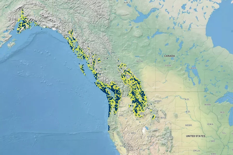 Rhododendron menziesii Native Range