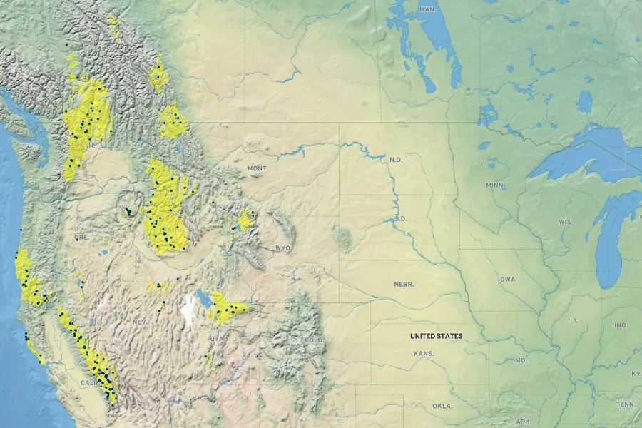 Rhododendron neoglandulosum Native Range