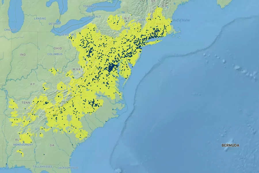 Rhododendron periclymenoides Native Range