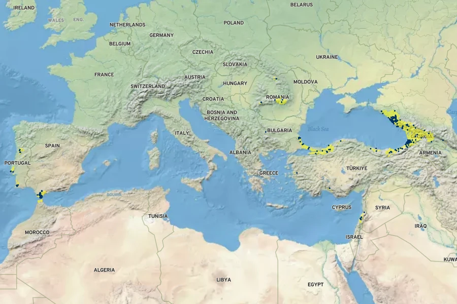 Rhododendron ponticum Native Range