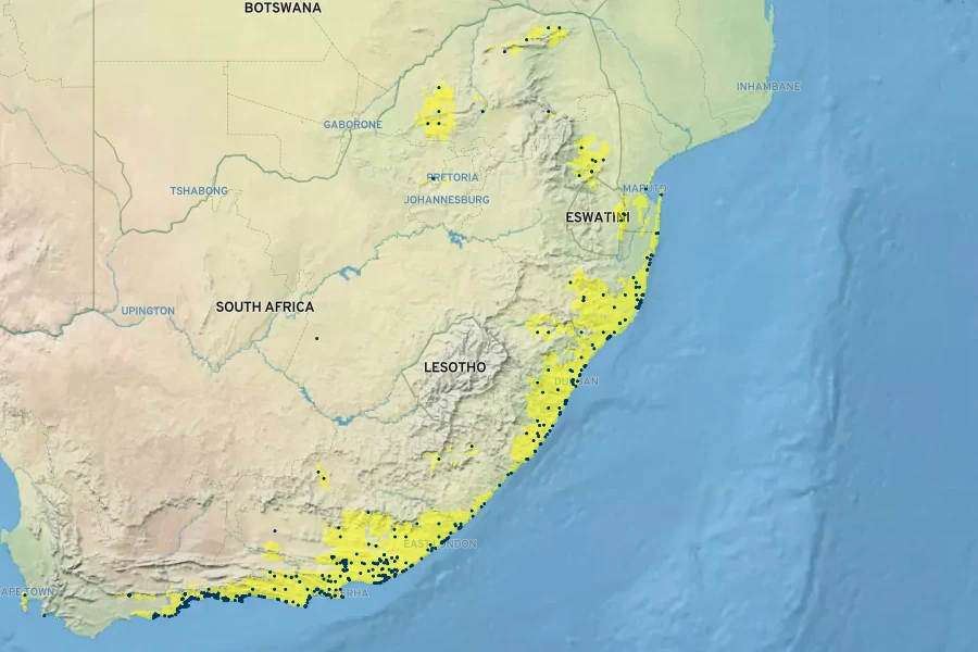 Rhoicissus digitata Native Range