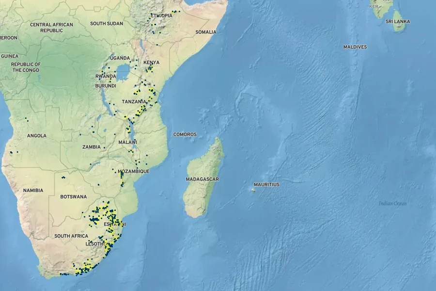 Rhoicissus tridentata Native Range