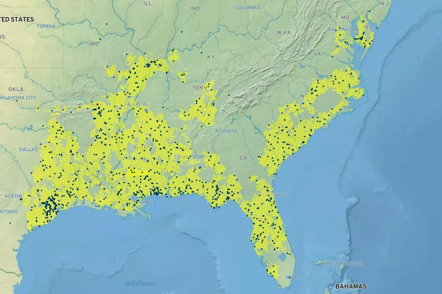Rhynchospora corniculata Native Range