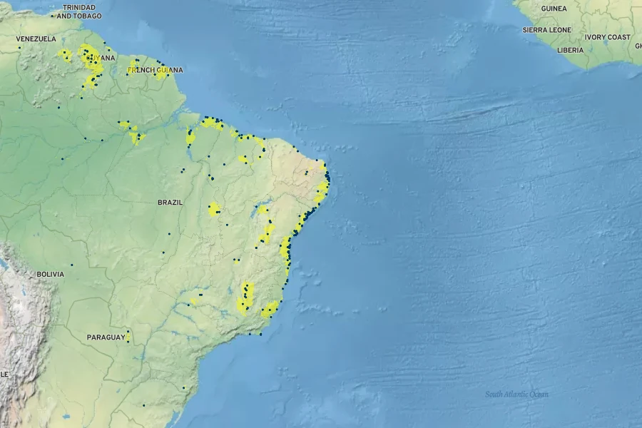 Rhynchospora riparia Native Range