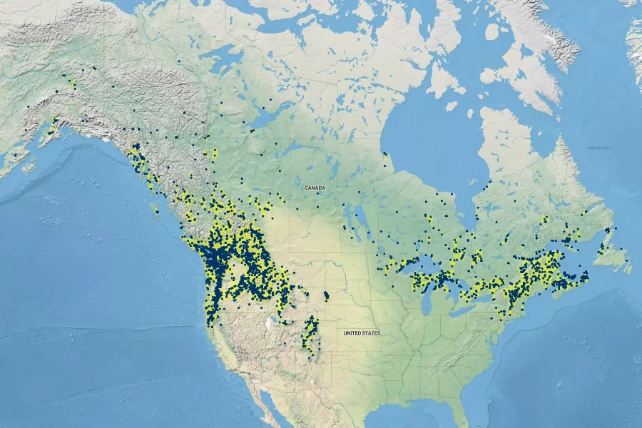 Ribes lacustre Native Range