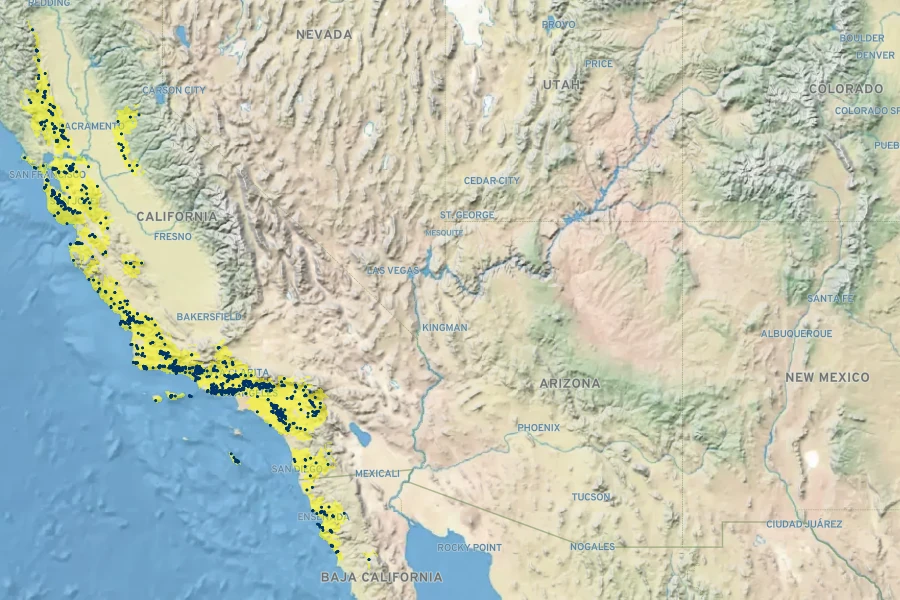 Ribes malvaceum Native Range