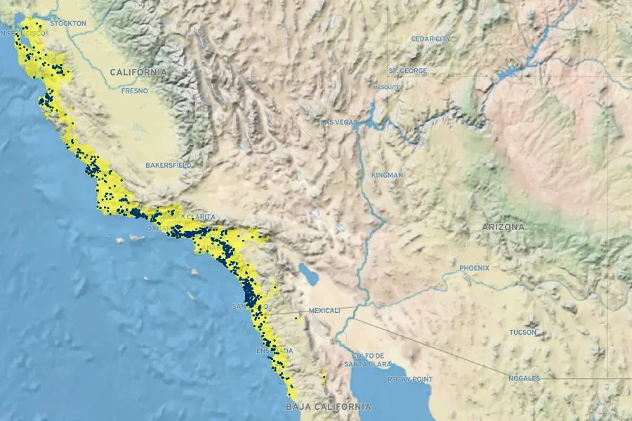 Ribes speciosum Native Range