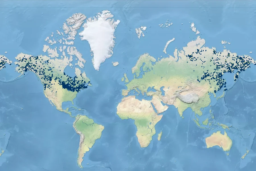 Ribes triste Native Range