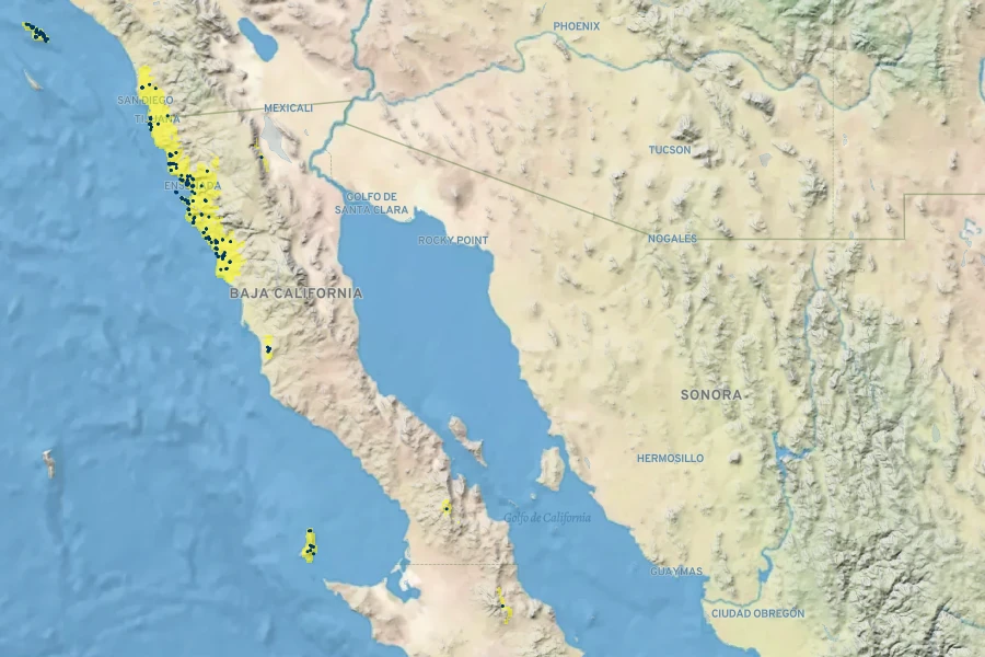 Ribes viburnifolium Native Range