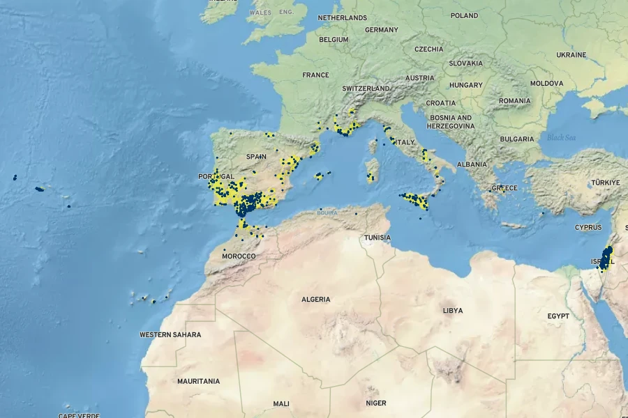 Ridolfia segetum Native Range