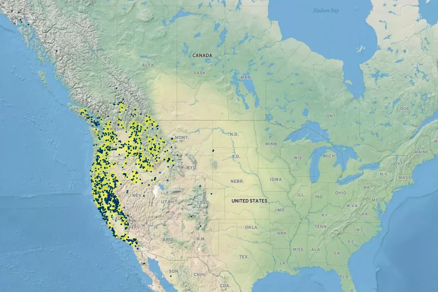 Rorippa curvisiliqua Native Range