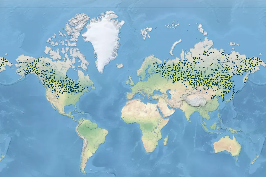 Rosa acicularis Native Range