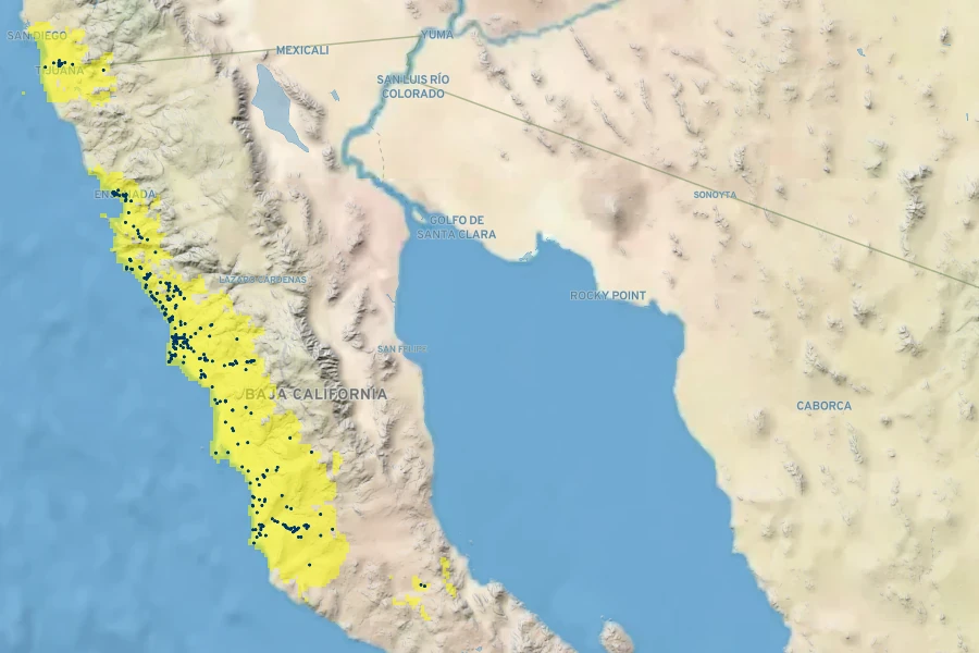 Rosa minutifolia Native Range