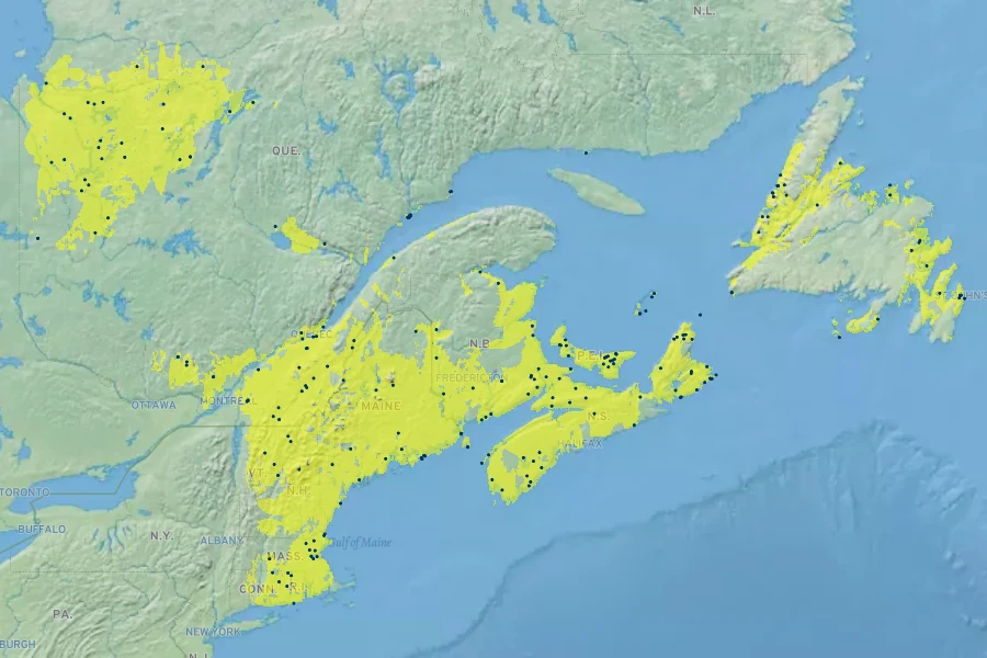 Rosa nitida Native Range
