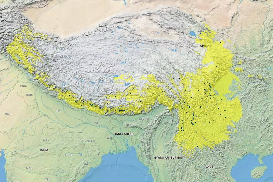 Rosa sericea Native Range
