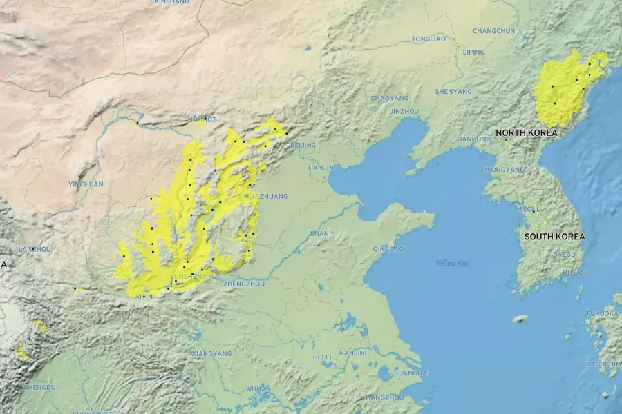Rosa xanthina Native Range