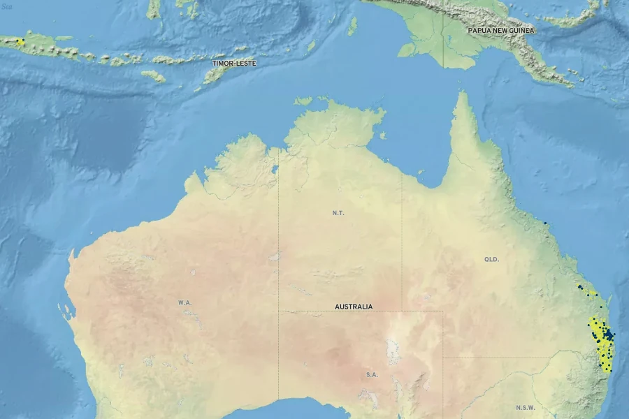 Rostellularia obtusa Native Range