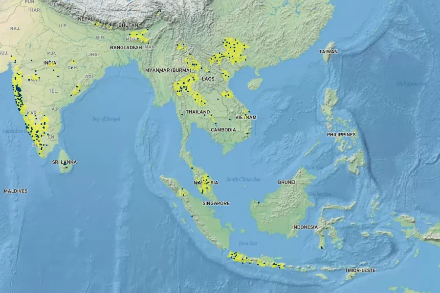 Rotheca serrata Native Range