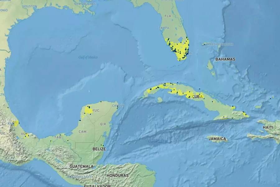 Roystonea regia Native Range