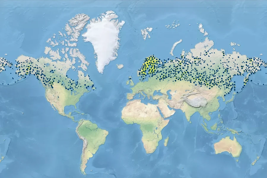 Rubus arcticus Native Range