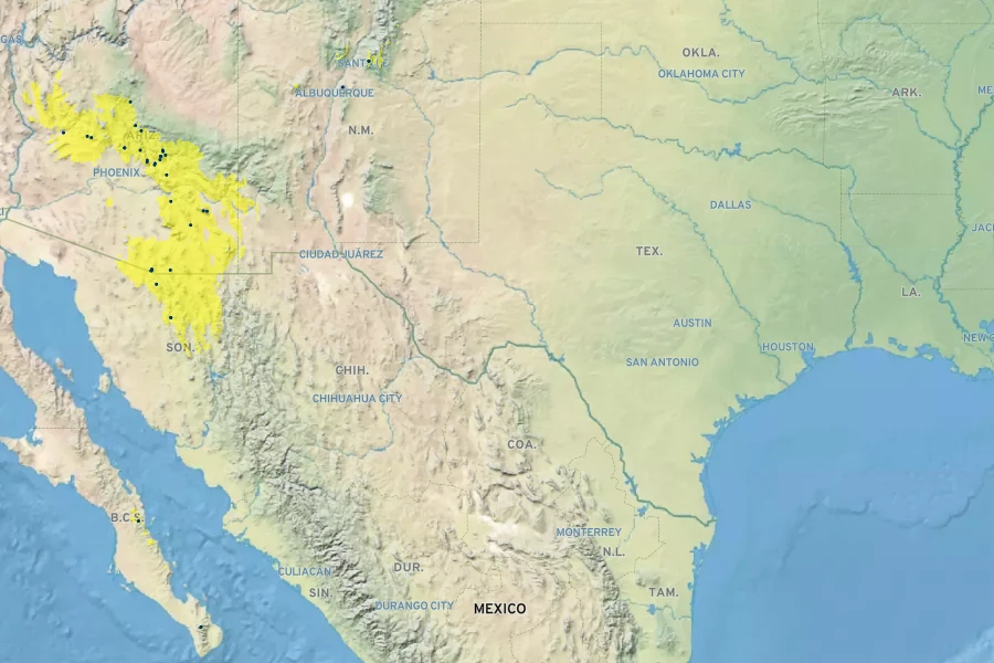 Rubus arizonensis Native Range
