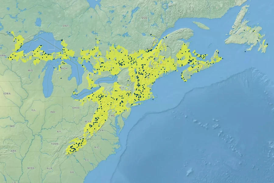 Rubus canadensis Native Range