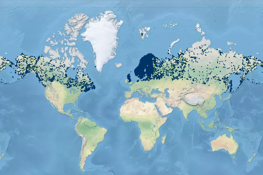 Rubus chamaemorus Native Range