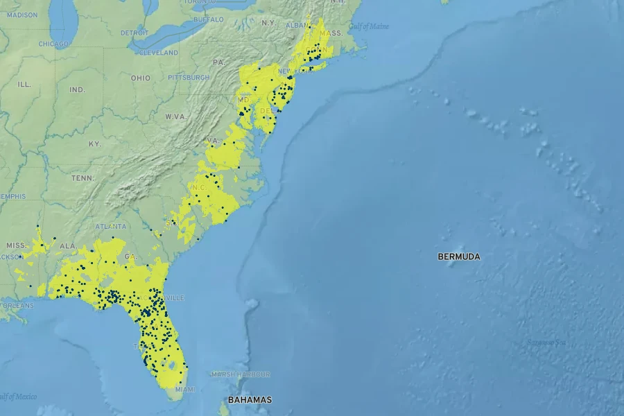 Rubus cuneifolius Native Range