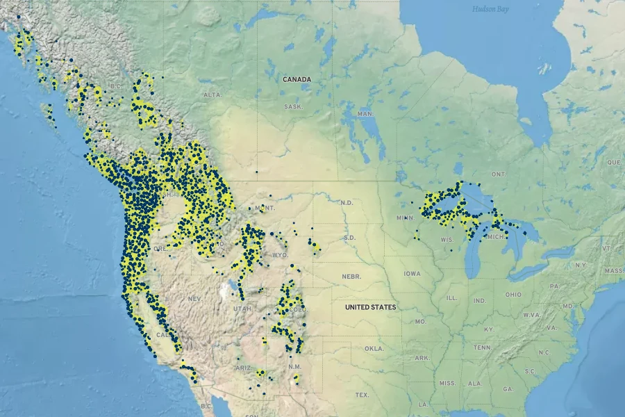 Rubus parviflorus Native Range