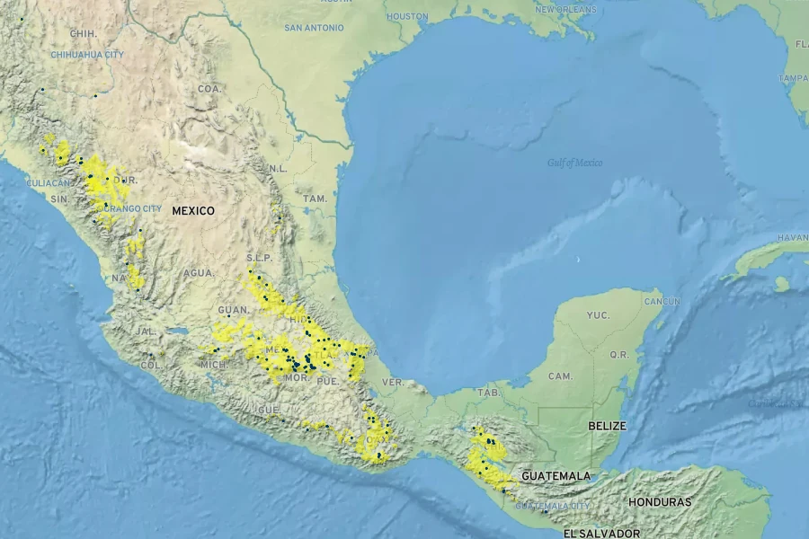 Rubus pringlei Native Range